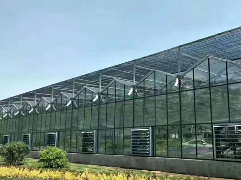 Chii Chinoita Kuti Steel Vertical Farm ive Ramangwana reSustainable Agriculture?